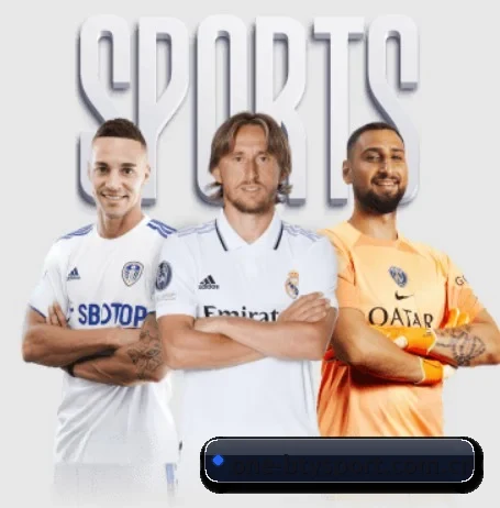 one-btysport.com.cn的方向